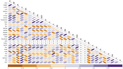 Adventitious root formation confers waterlogging tolerance in cowpea (Vigna unguiculata (L.) Walp.)